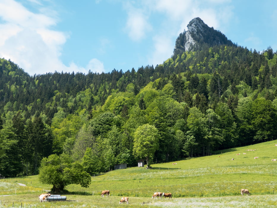 Leonhardstein bei Kreuth