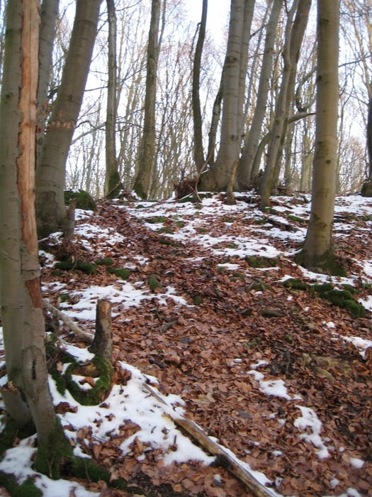 Bamberg Trails - Tiefenellern 02