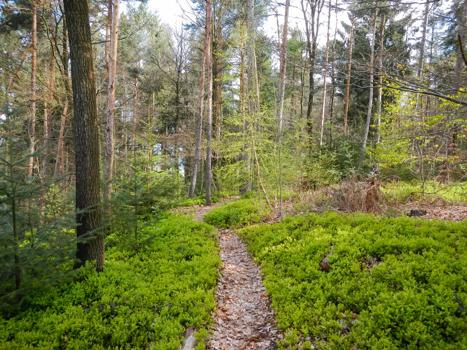 Rabenlay (Gondershausen)