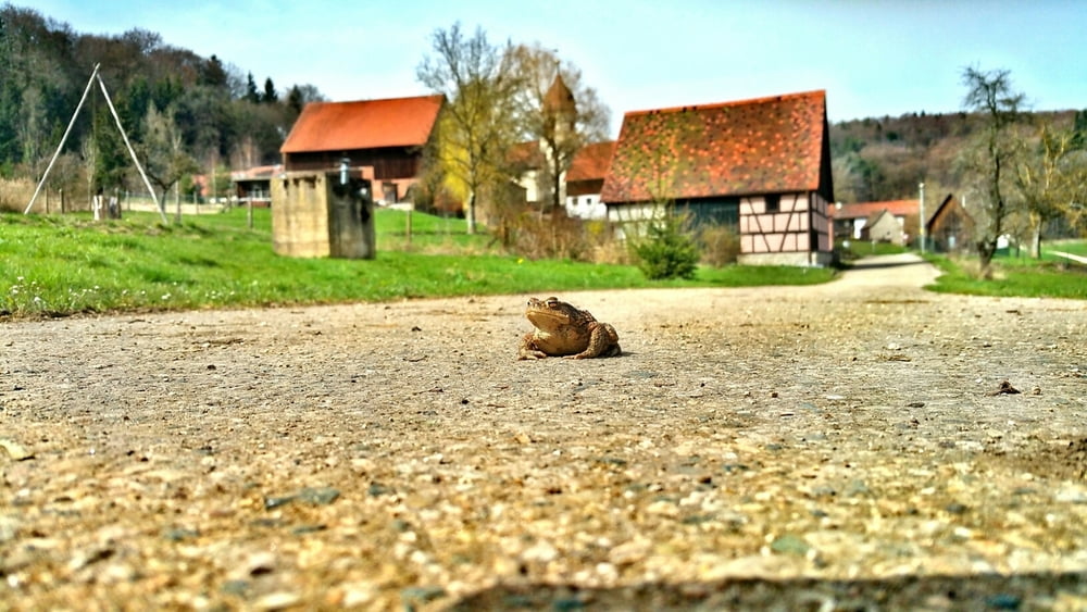 Vorgeschichtlicher Wanderweg Thalmässing