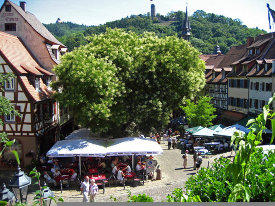 Heidelberg, Odenwald, Weinheim, 50km
