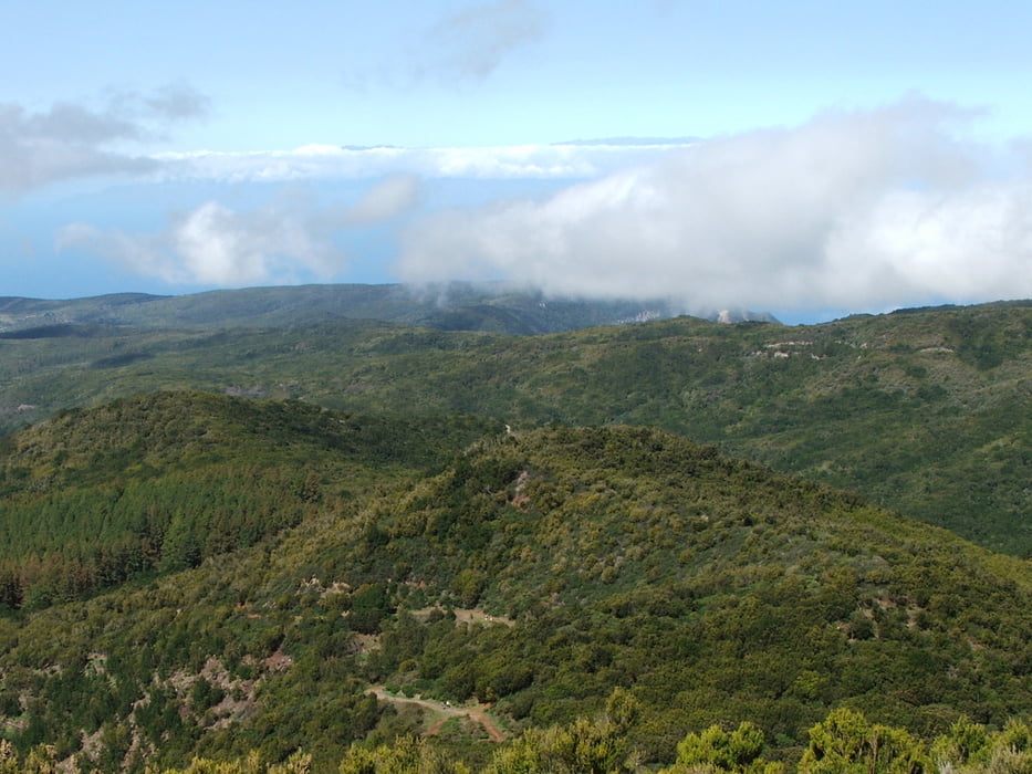 La Gomera: Garajonay und Bosque del Cedro