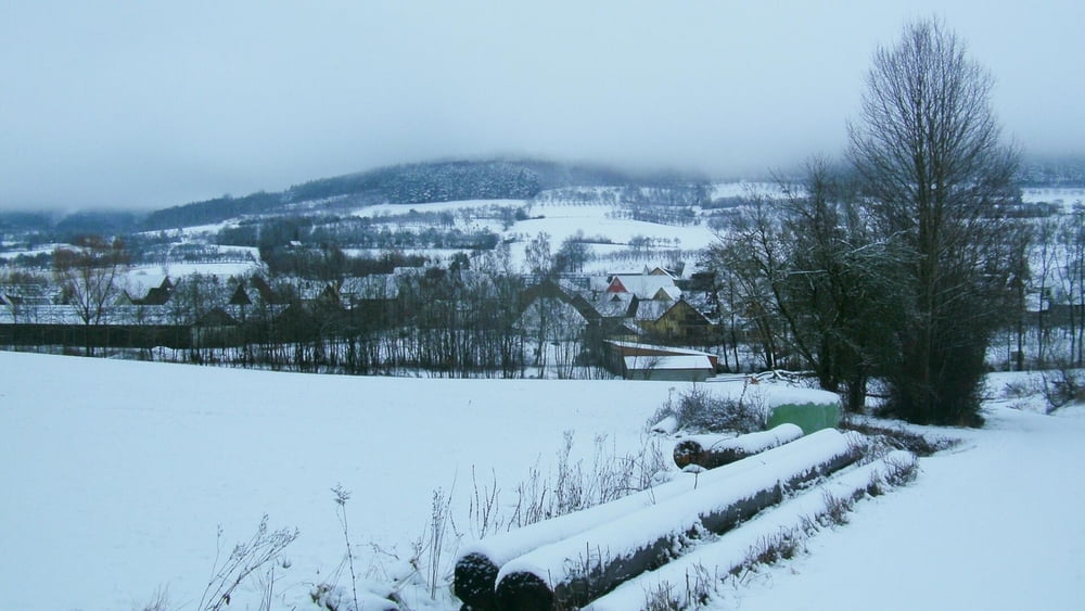 Wandern Franken: Neuschnee am Lindelberg bei Dachstadt
