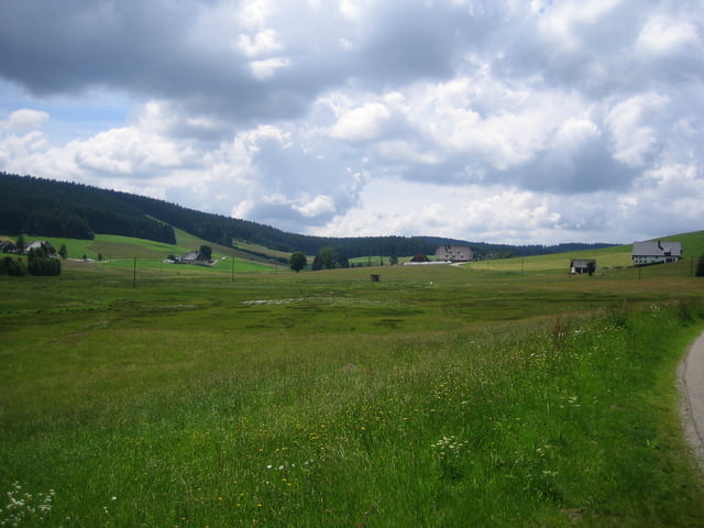 Schönwald-Weissenbachtal-Weissenbacherhoehe-Blindensee-Schwarzenbachtal-Schönwald