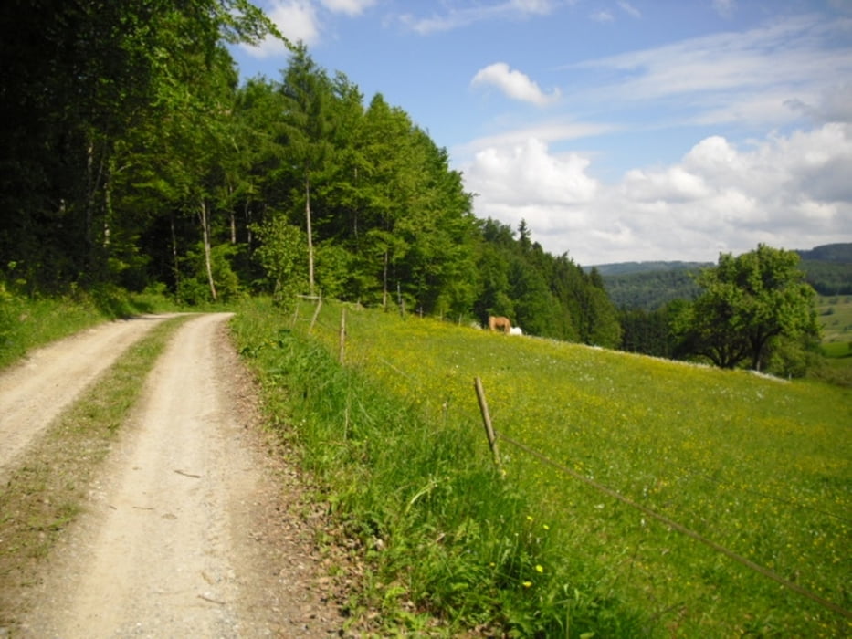 Deggenhausertal-Salem