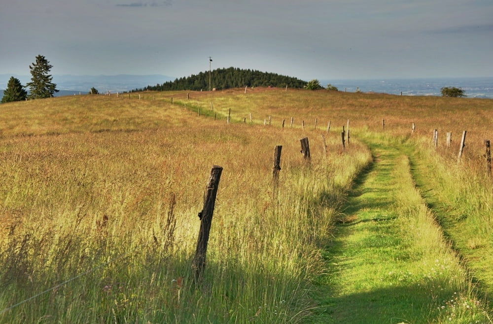 Urmatt - Rothlach - Struthof