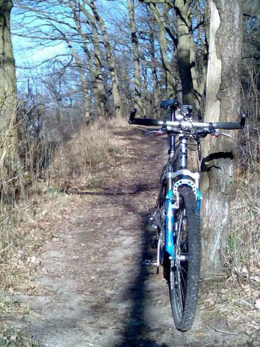 Königstrails am Plauer See