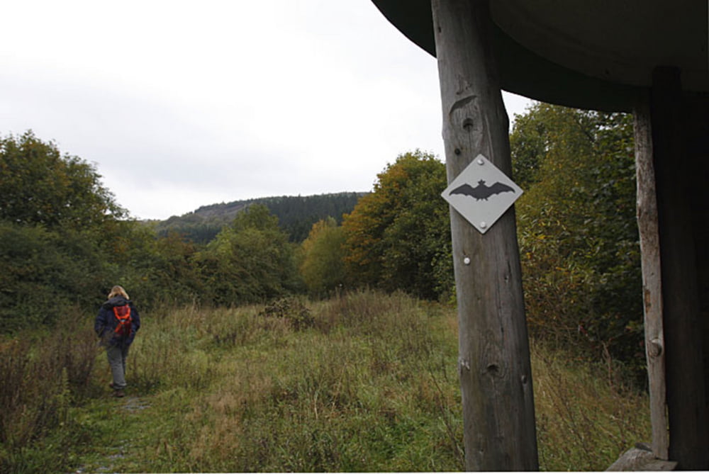 Wittgensteiner Schieferpfad