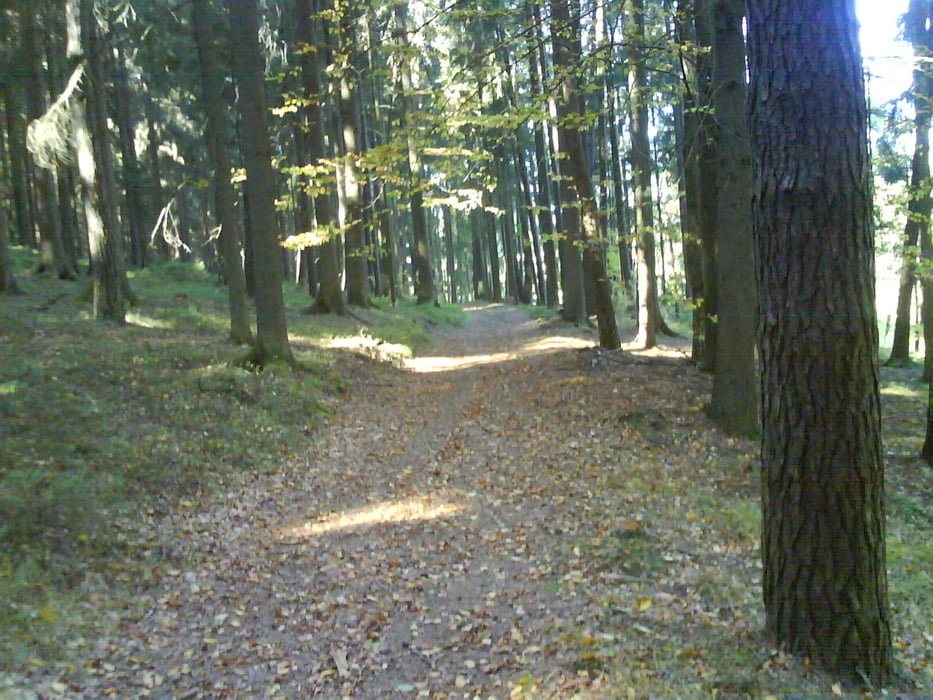 MTB Tour an der schwarzen Laaber 