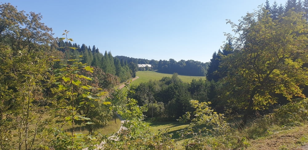 Erzgebirge Blockline Loop 2 von Holzhau
