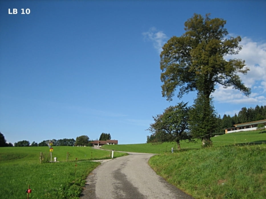 MTB-Tour Graz Ost
