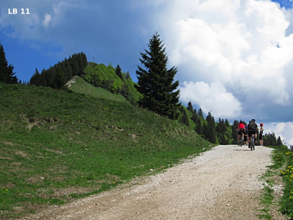 Zwölferhorn
