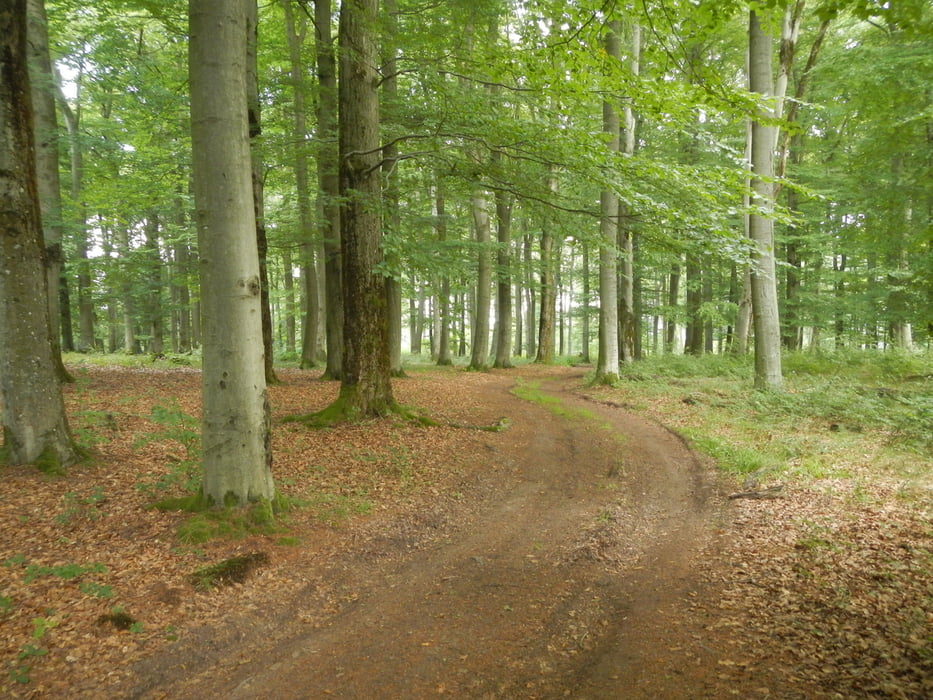 Bei Baumholder, Nähe Eschelbacherhof