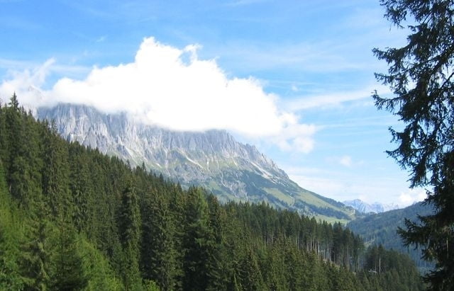 Rund um den Brennermais (bei Mühlbach am Hochkönig)