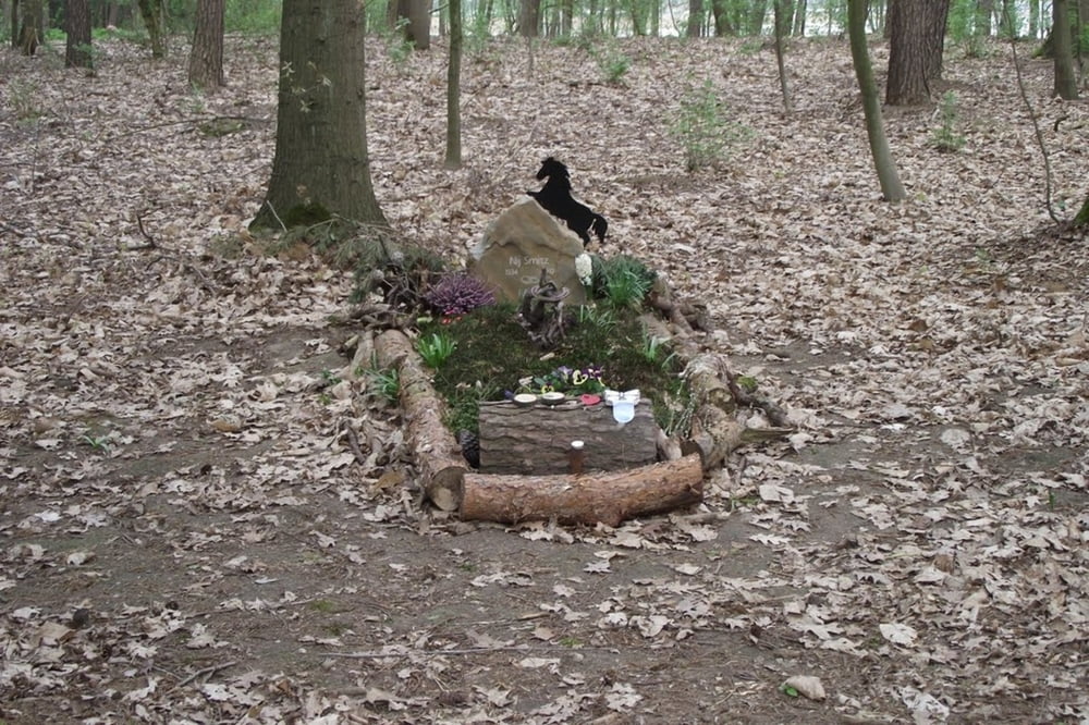 Rondwandeling St. Odiliënberg - Posterholt