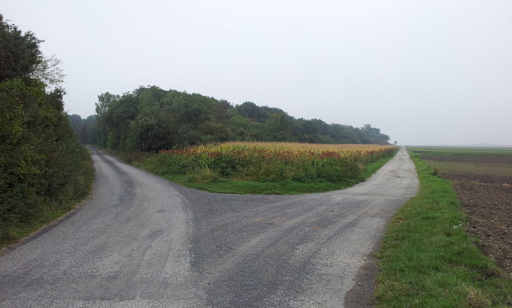 Nadelburgweg