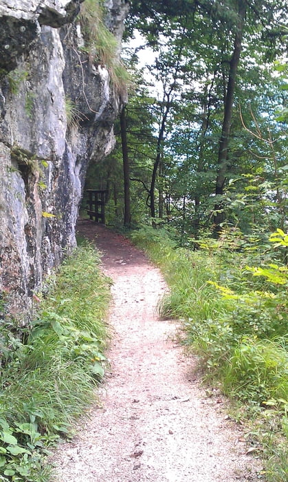 Um den Hallstaedtersee