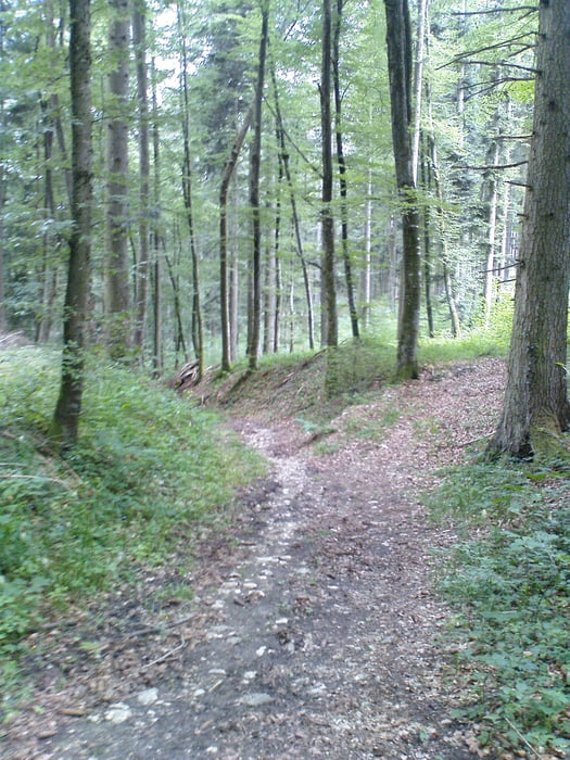 Klippeneck-Dreifaltigkeitsberg Var. m. Trails