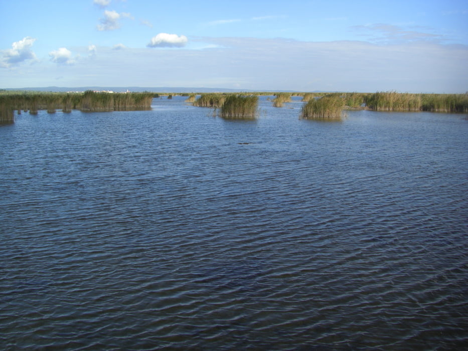 Von Eisenstadt zum Neusiedlersee