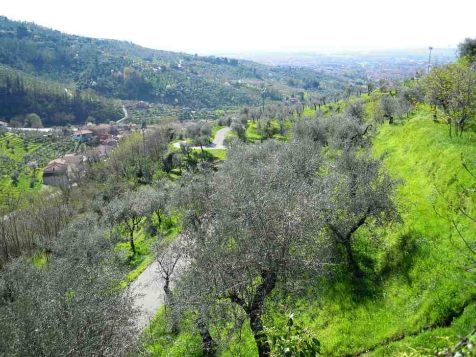 Montecatini Terme - Massa - Cozzile