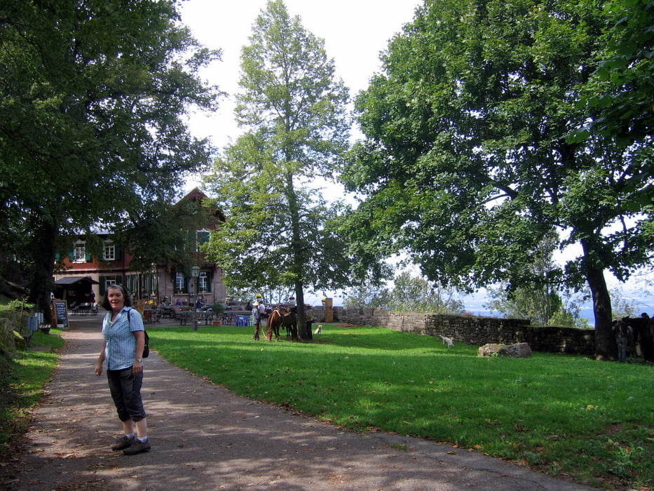Yburg Tripsee Wanderung
