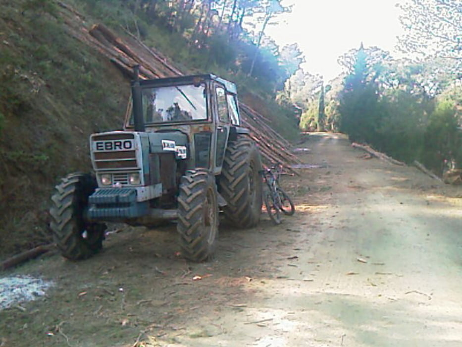Malaga Wald