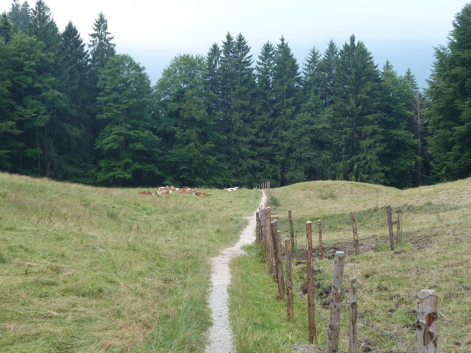 Kroatensteig