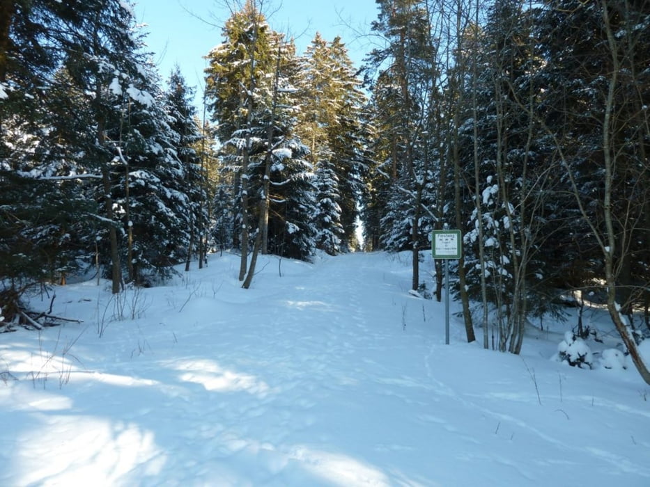 Schneeschuhwanderung von Kniebis nach Baiersbronn