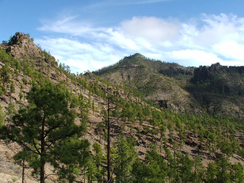 Gran Canaria: bei San Bartolomé