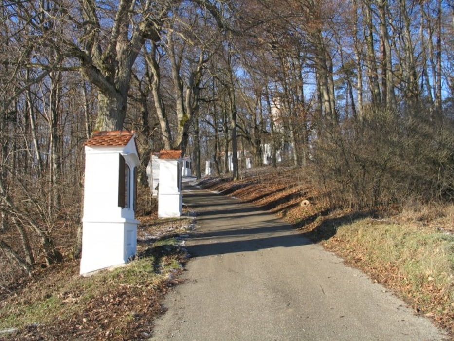 Herbsttour, Bissingen "Genießertour"