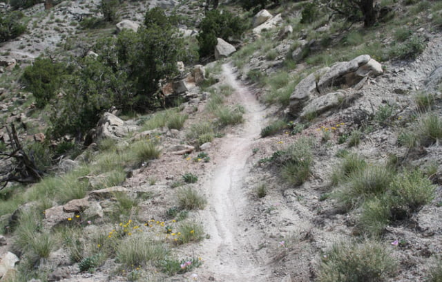 Tina's Hill - Trail 