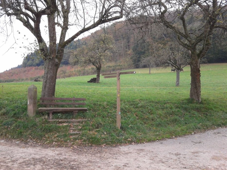 Erzberg [Odw.]