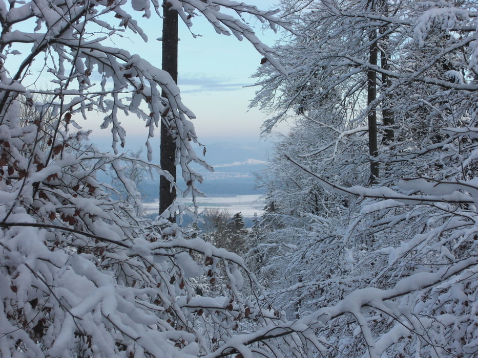 Von Kersbach zum Moritzberg und zurück