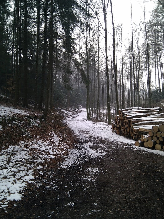 Die ElfringhauserSchweiz