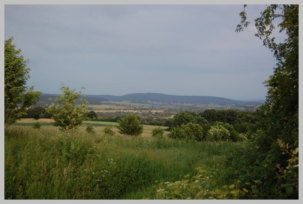 Schöne MTB Tour um Barntrup, viel Wald und viel schöne Landschaft 