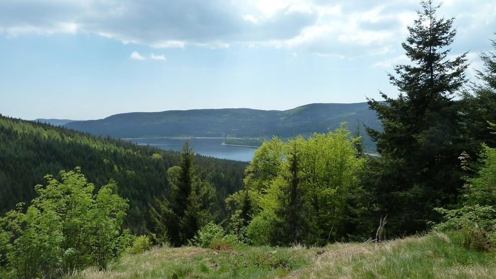 Vier-Seen-Tour (Titisee, Windgfällweiher, Schluchsee, Feldsee)