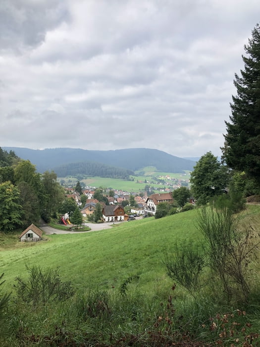 Baiersbronn: Hirschkopf- und Klosterreichenbach-Trailtour