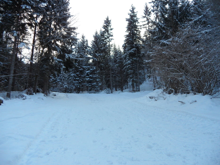 Skitour auf das Dreiländereck