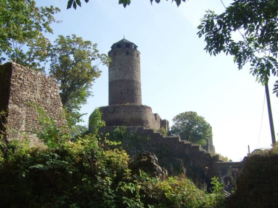 Hassenstein 2010