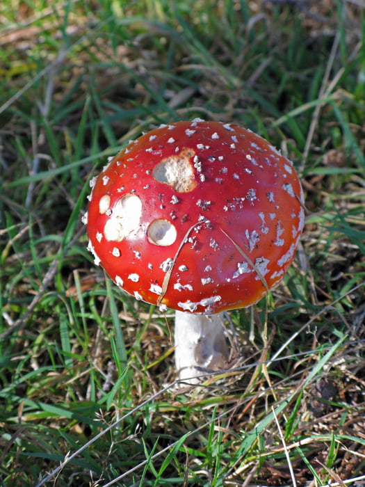 Frankenwald, Bad Steben - 3 Rundwege