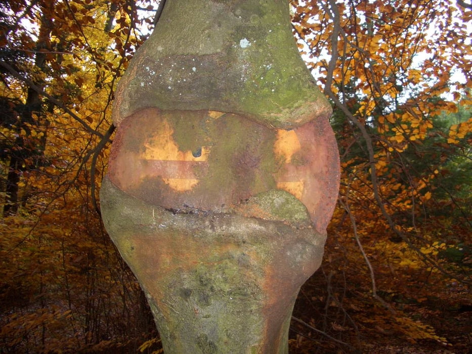 Rund ums südliche Ulfenbachtal