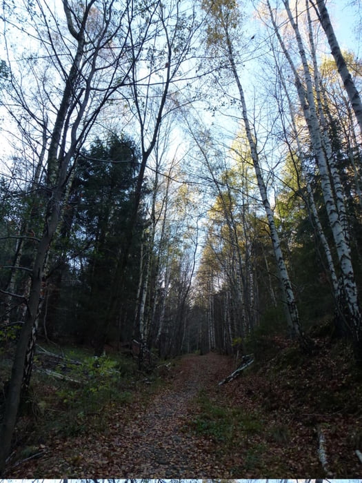 Bad Harzburg - Hessental - Adenberg - Europaradweg R1