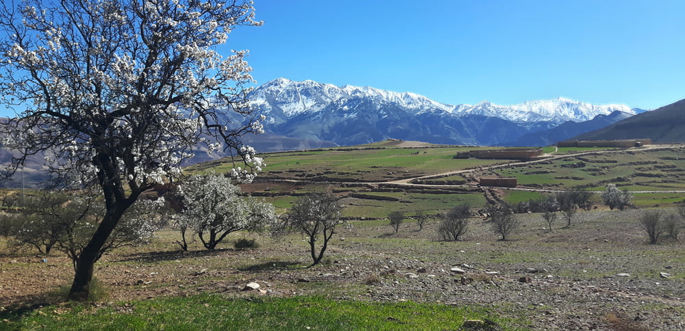Frühling Anfang Februar auf 1600 m Seehöhe