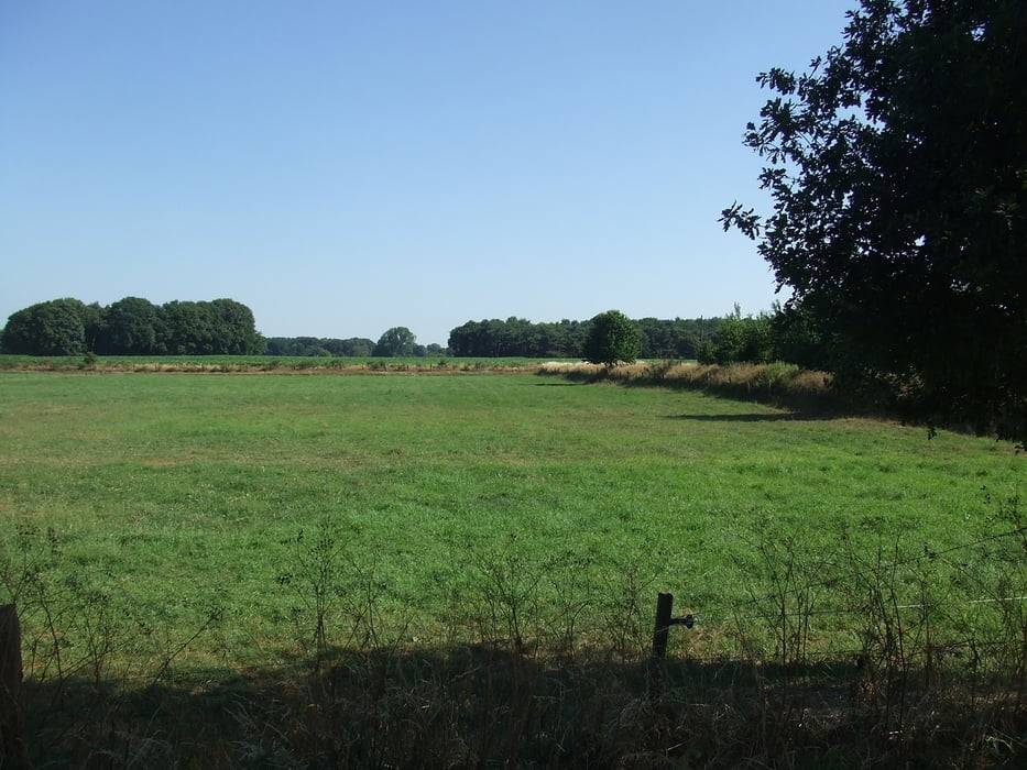 Zwischen Dingden und Aa