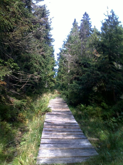 Großer Arber - Risslochschlucht - Bodenmais