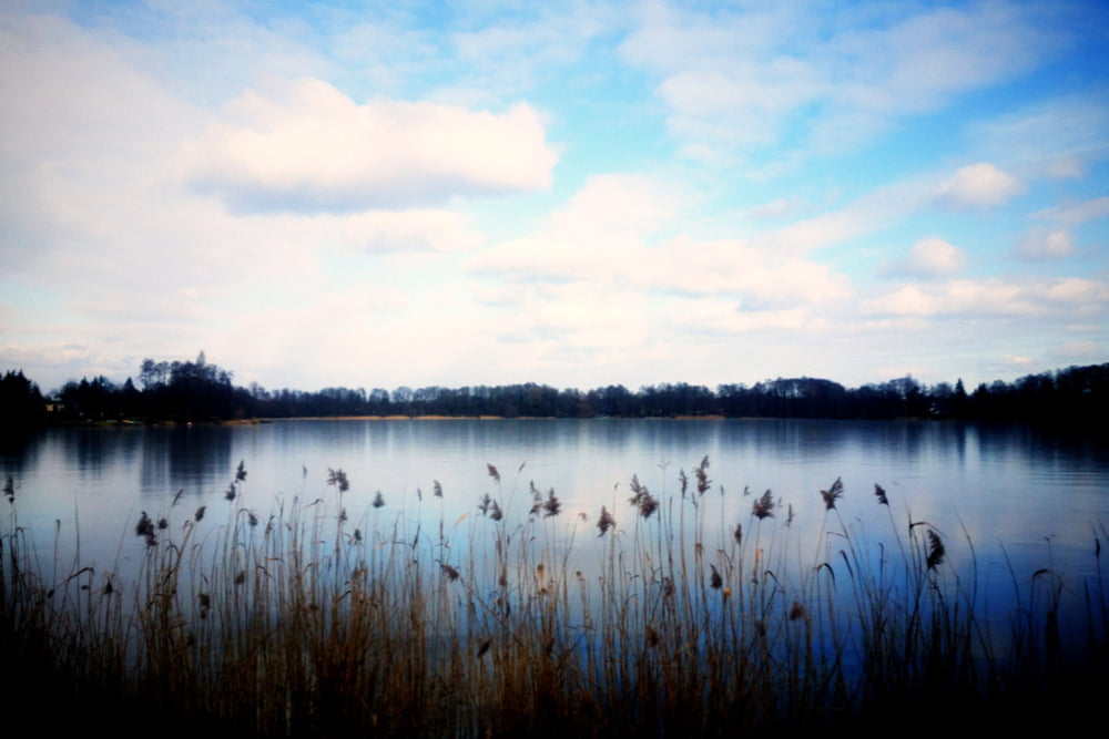 Kleine Rundtour von Konradshöhe über Heiligensee, Henningsdorf, Tegelort