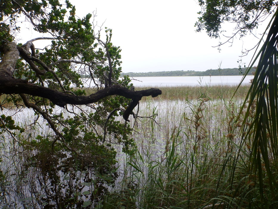 Mgobozelini Trail in Sodwana Bay