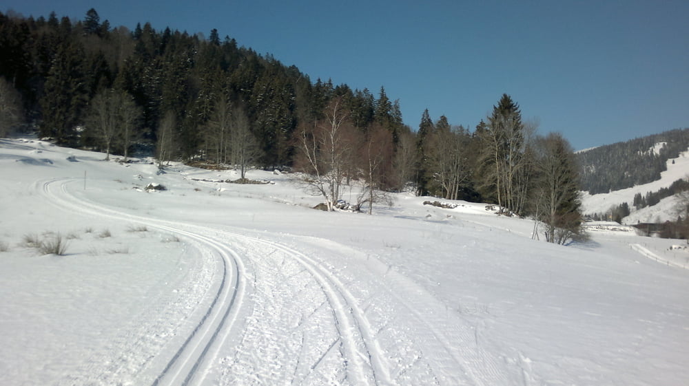 Rundtour Menzenschwand