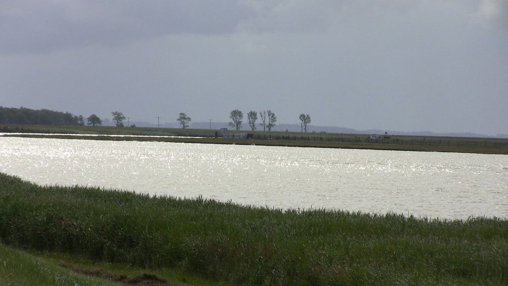Darss Sundische Wiese