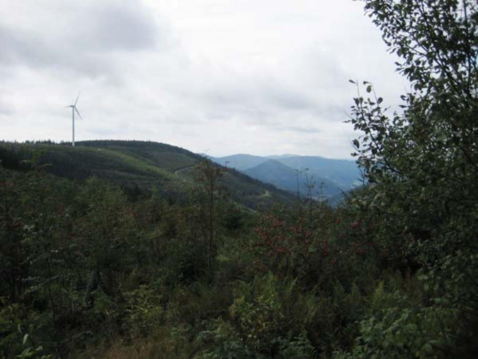 Bad Griesbach - Wilde Rench - Kniebis - Bad Peterstal